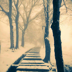 林大师 MasterLinアイコン画像