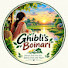 3B1c_Vwceis-channel-avatar-Ghibli's Boinari