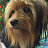 @KarinaNieduziak