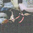 @leschwartz's avatar