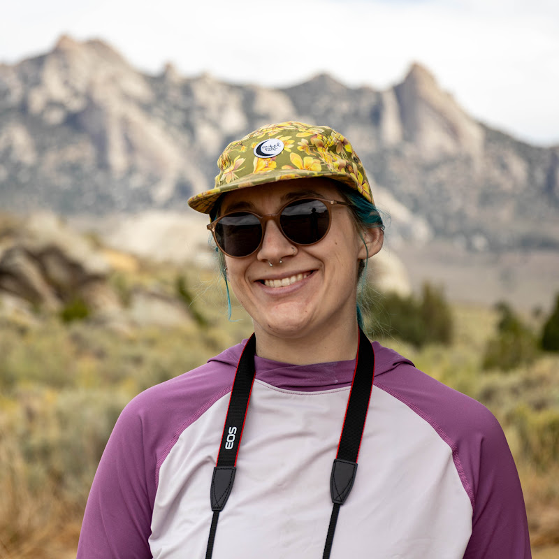 The Simple Environmentalist Logo