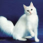 Miniature