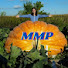 1K0PykCbQMQ-channel-avatar-Moby Mike Pumpkins