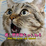 UBSy1uz3Mjg-channel-avatar-癒し野良猫ちゃんねる