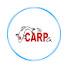 93bJO2Of6NU-channel-avatar-The Carp Co