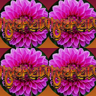 thumbnail img1x1