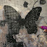 dEXDc3BYkzI-channel-avatar-Diamond Art