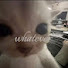 khtG4UqkzWc-channel-avatar-𝘢𝘣𝘣𝘢𝘥𝘰𝘯.