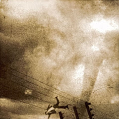 The Paper Chase - Topic