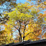 7yKMkqQAJ6o-channel-avatar-fourseasons, coming and going