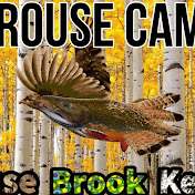 The Grouse and The Trout