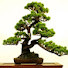 EsovHJQZ3TM-channel-avatar-Japão Yabai