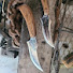 iHImutVrWT4-channel-avatar-Bear Metal Forge
