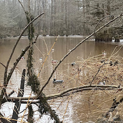 Moore Outdoors