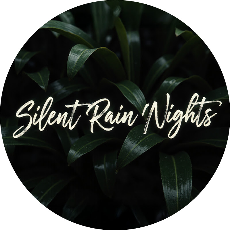 Silent Rain Nights