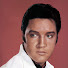 IvtpvWIXvGo-channel-avatar-Elvis:The Ultimate Fan Channel