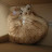 @skrimnal's avatar