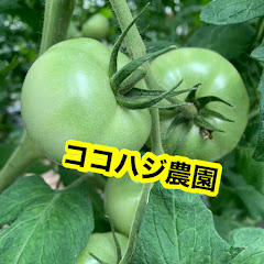 ココハジ農園アイコン画像