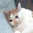 @무는고먐미