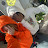 @qxz980_o