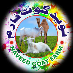 Naveed Goat Farm نوید گوٹ فارم net worth
