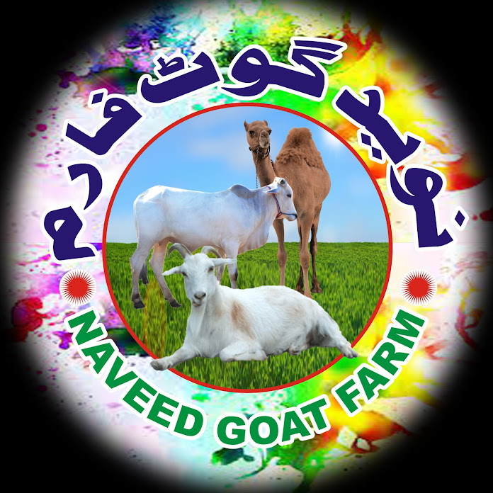 Naveed Goat Farm نوید گوٹ فارم Net Worth & Earnings (2022)