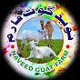 Naveed Goat Farm نوید گوٹ فارم