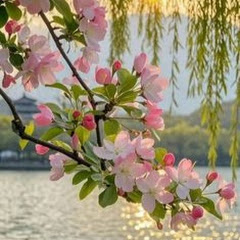 よくある家族の物語