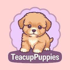 TeacupPuppies