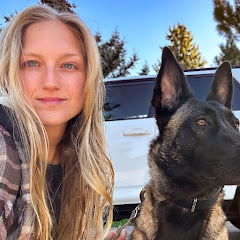 No Perfect Plan Vlogs Avatar