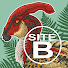 kIa8uFuqs2A-channel-avatar-Site B Media 