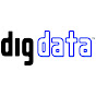The Data Inspiration Group logo