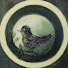 4wojMNeQVZ0-channel-avatar-Nature Nest