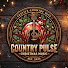 1C23nPPQ_QM-channel-avatar-COUNTRY PULSE