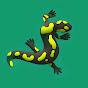 AndersSalamanders Avatar
