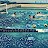 MyoFit Swimming and Water Polo