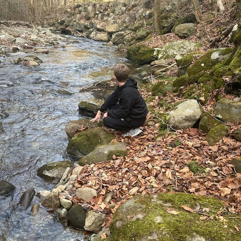 Hire Davis games — Horror Gaming YouTube creator for sponsorships