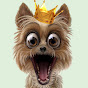 Funny UnderSky Image Thumbnail