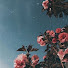 wb8b_hCVJqw-channel-avatar-Катя