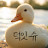 @덕잇슈구독눌러주세요