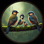 Birds Family logo