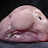 @Iamblobfish