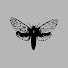 hmfEyh6zKes-channel-avatar-Arqueofatos