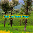 F0Z54ZNCF3w-channel-avatar-Chill Out Travel Vlogs