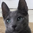 qIMUqRXqgyM-channel-avatar-Sam OJR