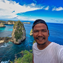 Boroni Alfred net worth