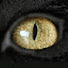 V9OTgRfiZVs-channel-avatar-DreamingWarrior
