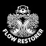 Sk1dOZsfxzA-channel-avatar-Flow Restorer