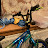 Avatar de @Bikerkidbmx