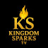 _qpM_UFhkp4-channel-avatar-kingdom sparks TV 